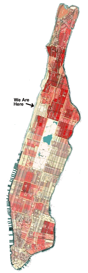 Manhattan Crime Map